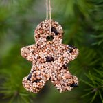 How to Make Birdseed Ornaments for Wild Birds by Backwoods Mama Josée Bergeron