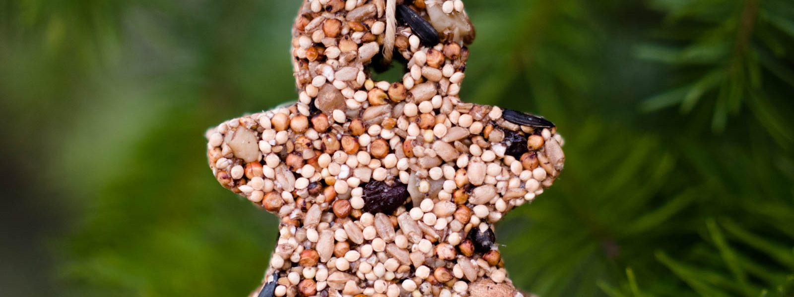 How to Make Birdseed Ornaments for Wild Birds by Backwoods Mama Josée Bergeron
