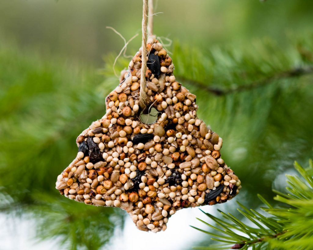 How to Make Birdseed Ornaments for Wild Birds by Backwoods Mama