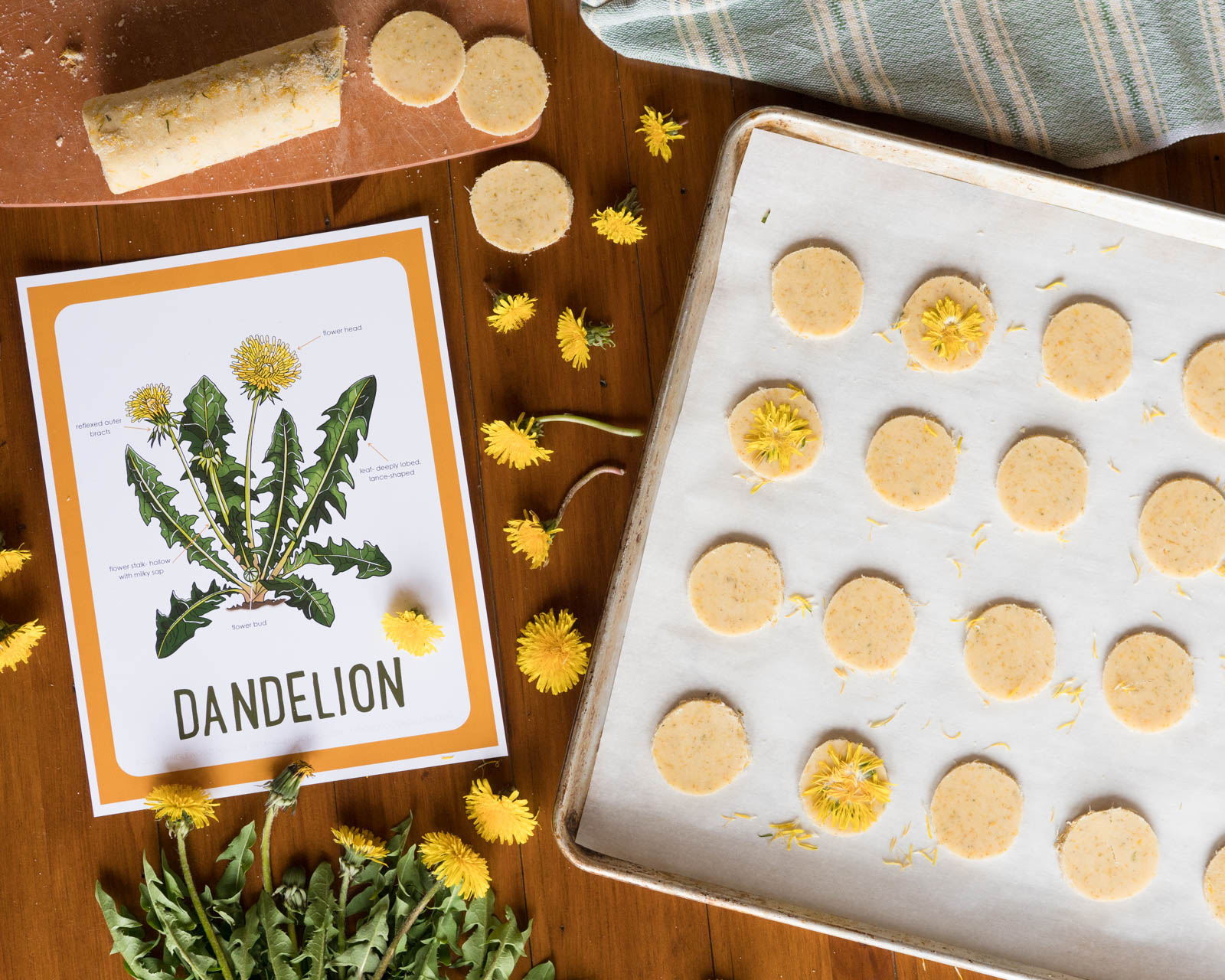 Dandelion Flower Butter Cookies