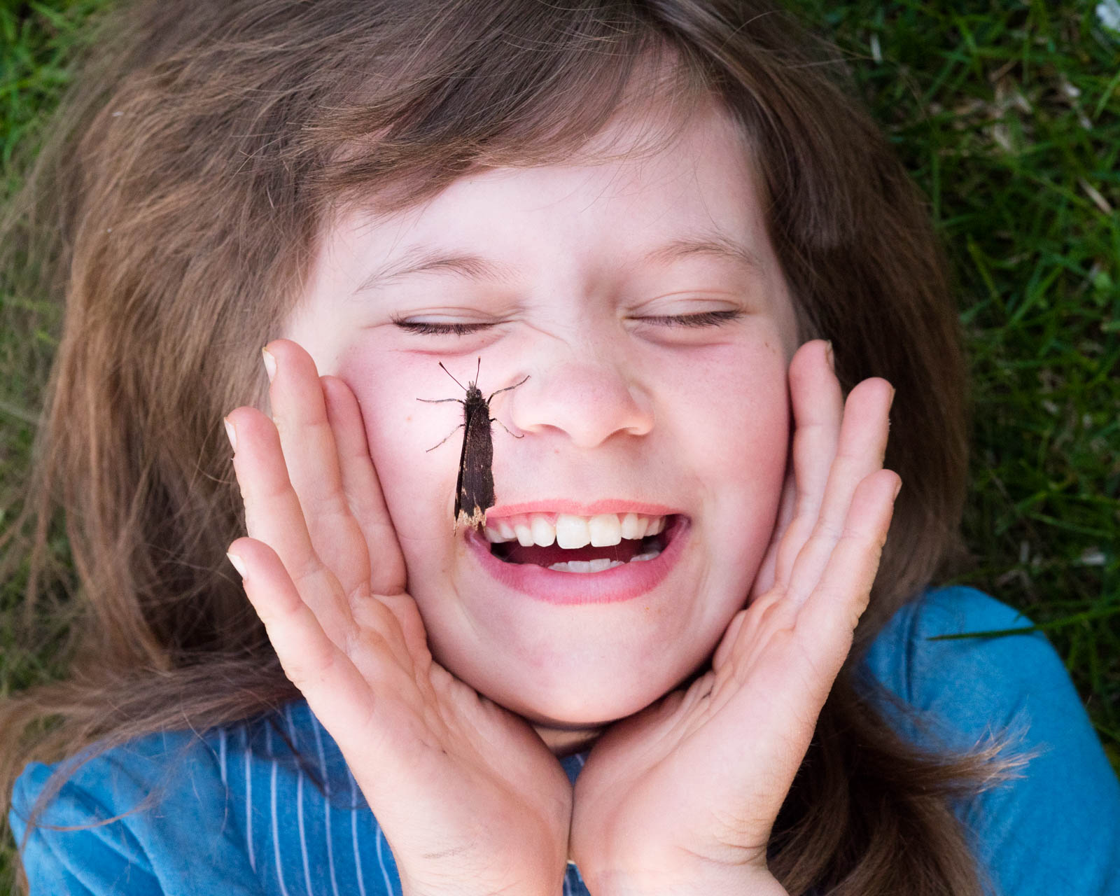 How to Help Children Overcome Their Fear of Bugs