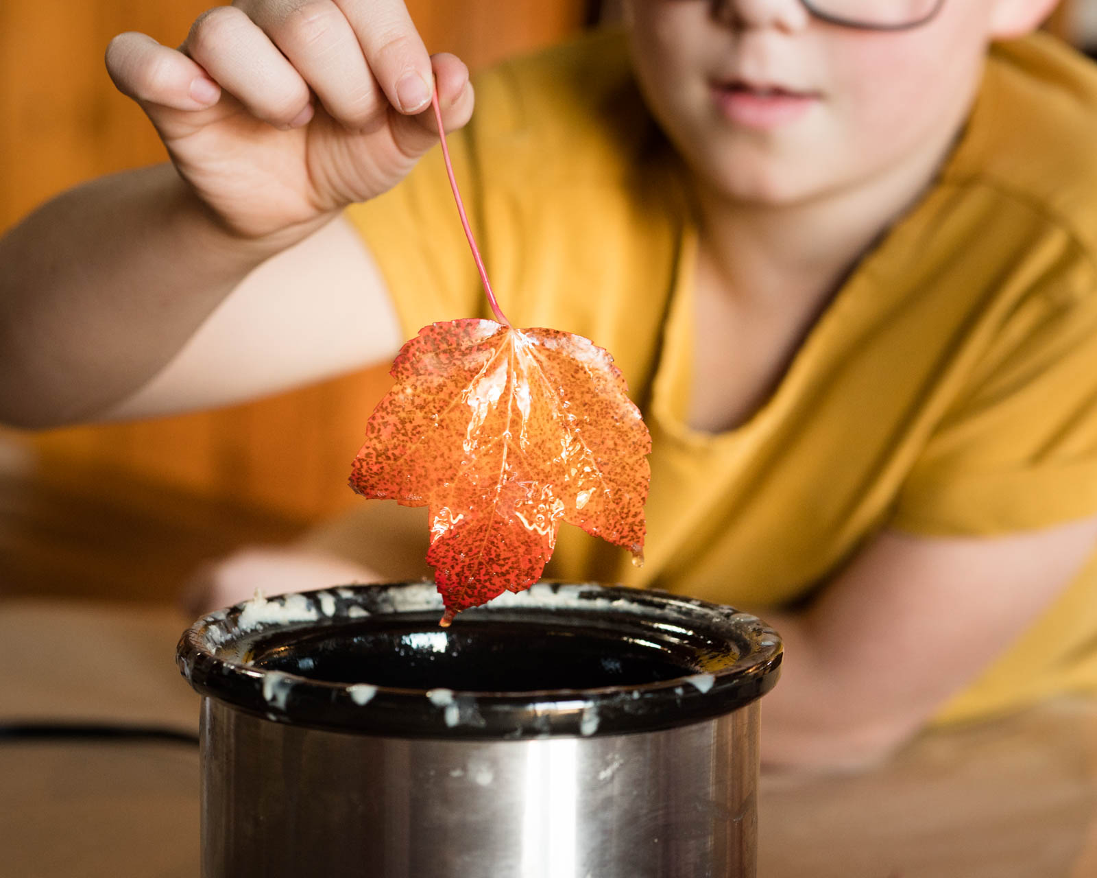 How to Preserve Autumn Leaves in Beeswax by Backwoods Mama Josée Bergeron