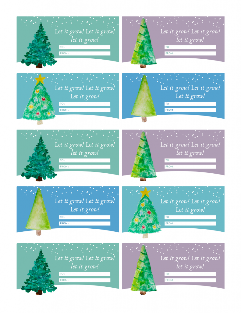 How to Make Tree Ornament Seed Bombs (+ Free Printable) by Backwoods Mama