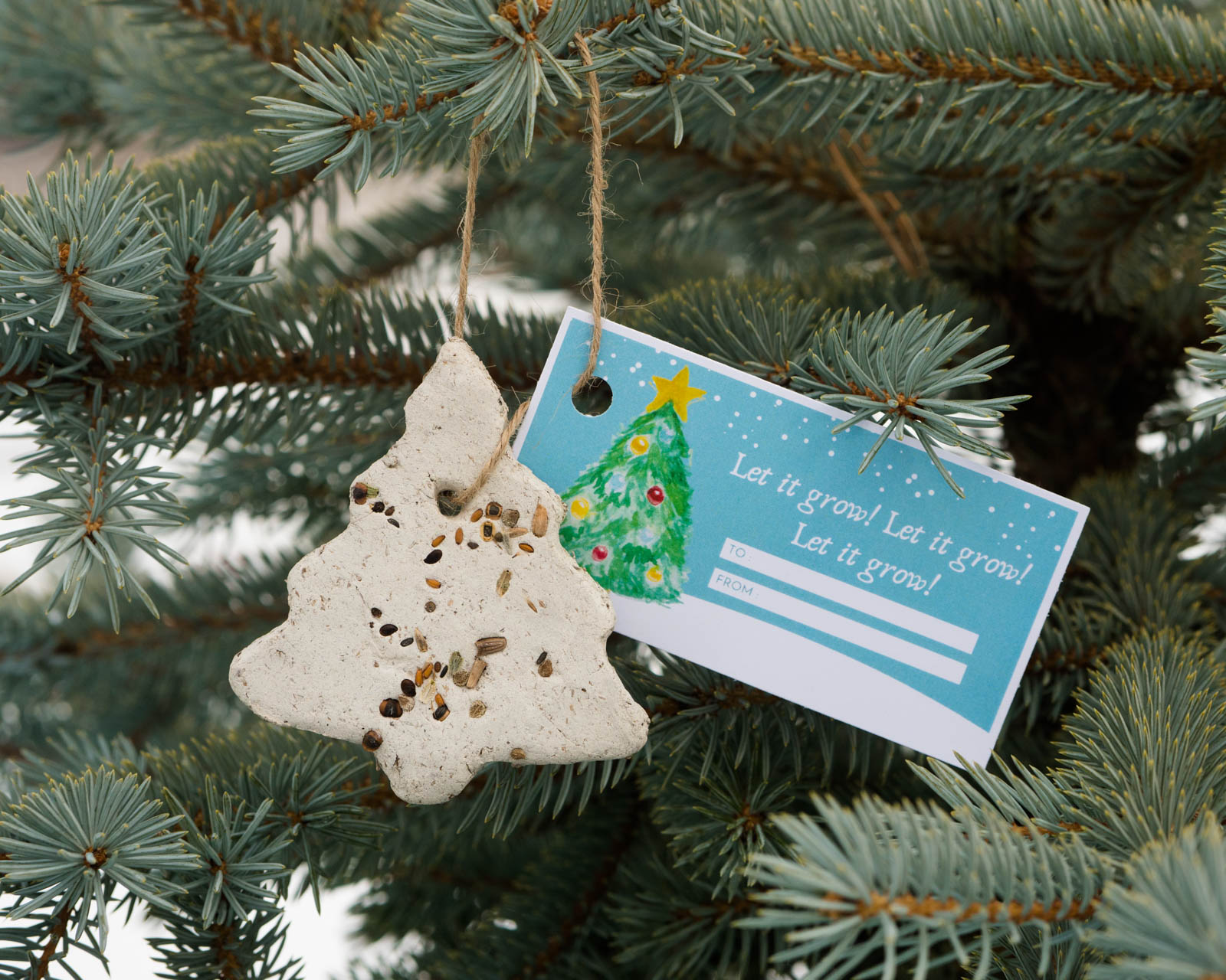 How to Make Tree Ornament Seed Bombs (+ Free Printable)