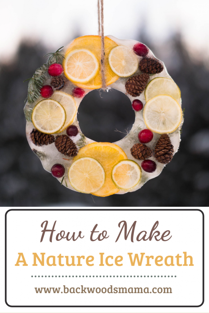 How to Make a Nature Ice Wreath by Backwoods Mama