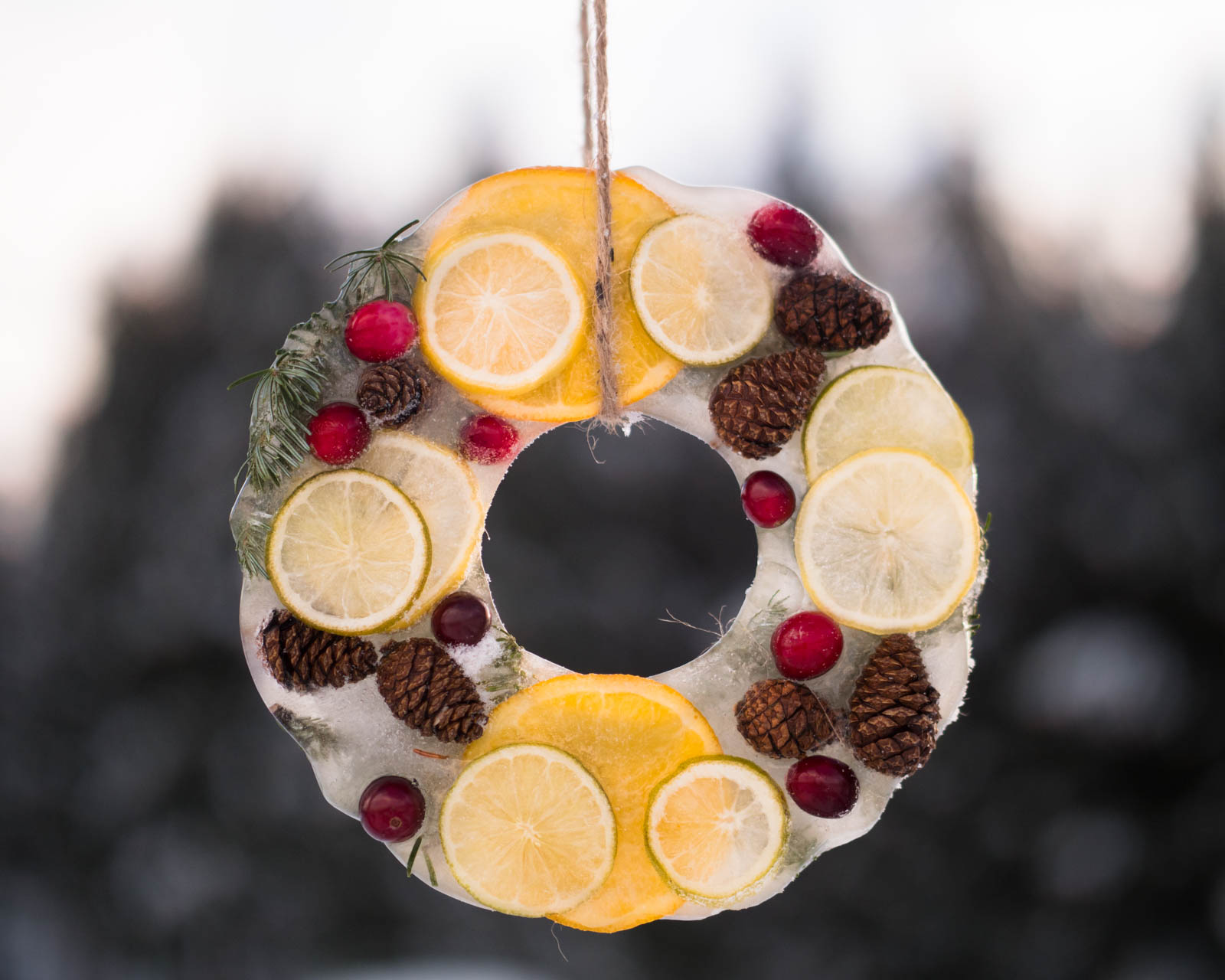 How to Make a Nature Ice Wreath