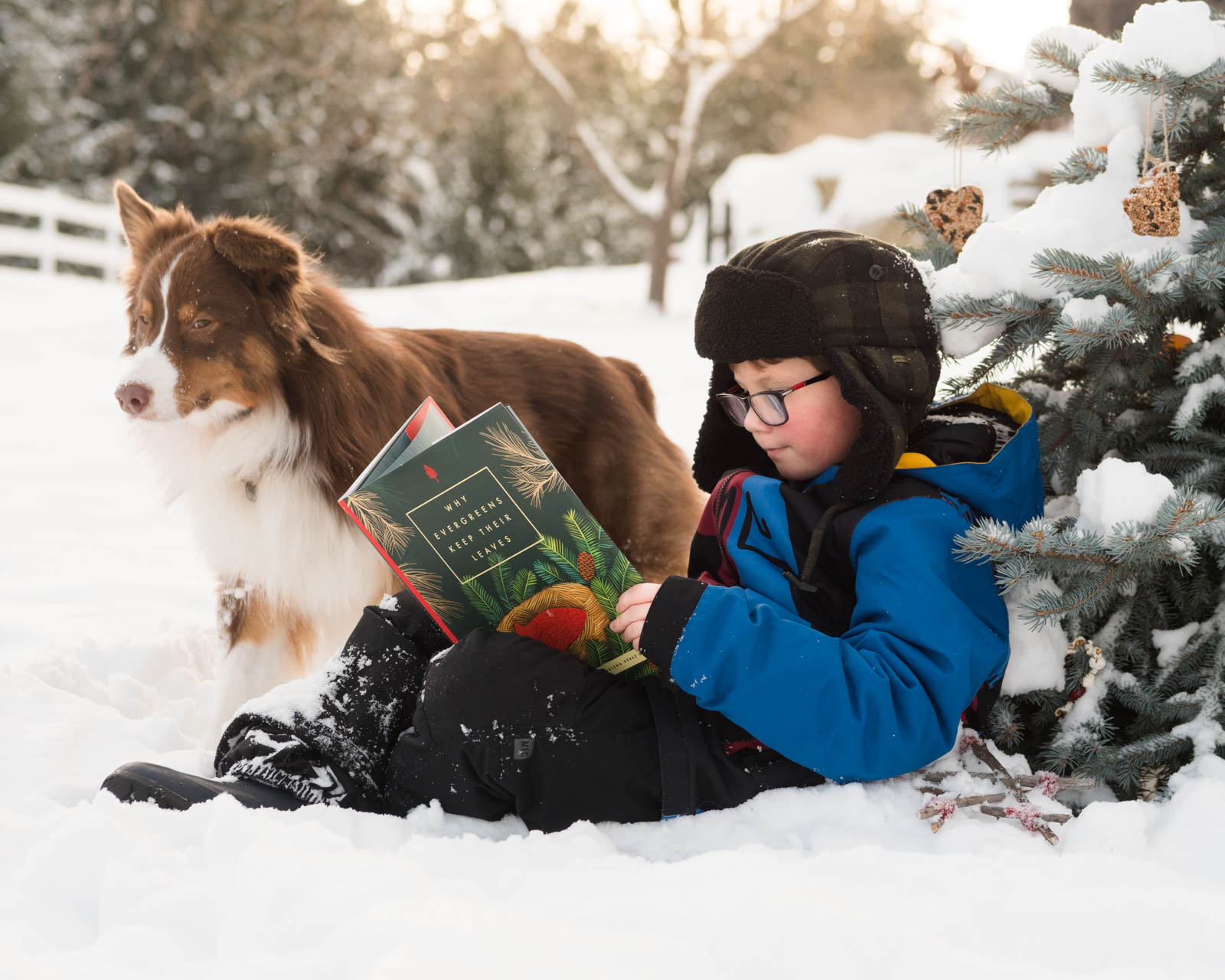 Magical Winter Picture Books for Children