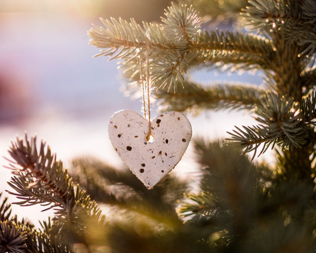 Wild Flower Seed Bombs by Backwoods Mama