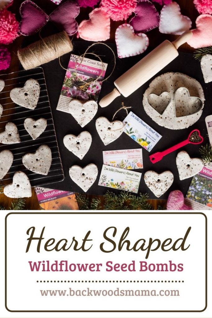 Heart Shaped Seed Bombs by Backwoods Mama