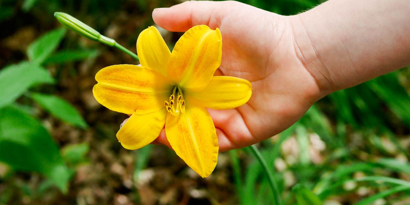 Stop Telling Kids "Don't Touch!" in Nature and What to Say Instead by Backwoods Mama