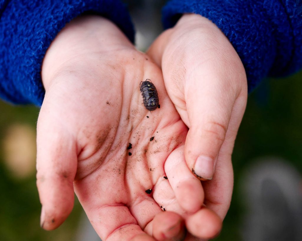 Stop Telling Kids "Don't Touch!" in Nature and What to Say Instead by Backwoods Mama