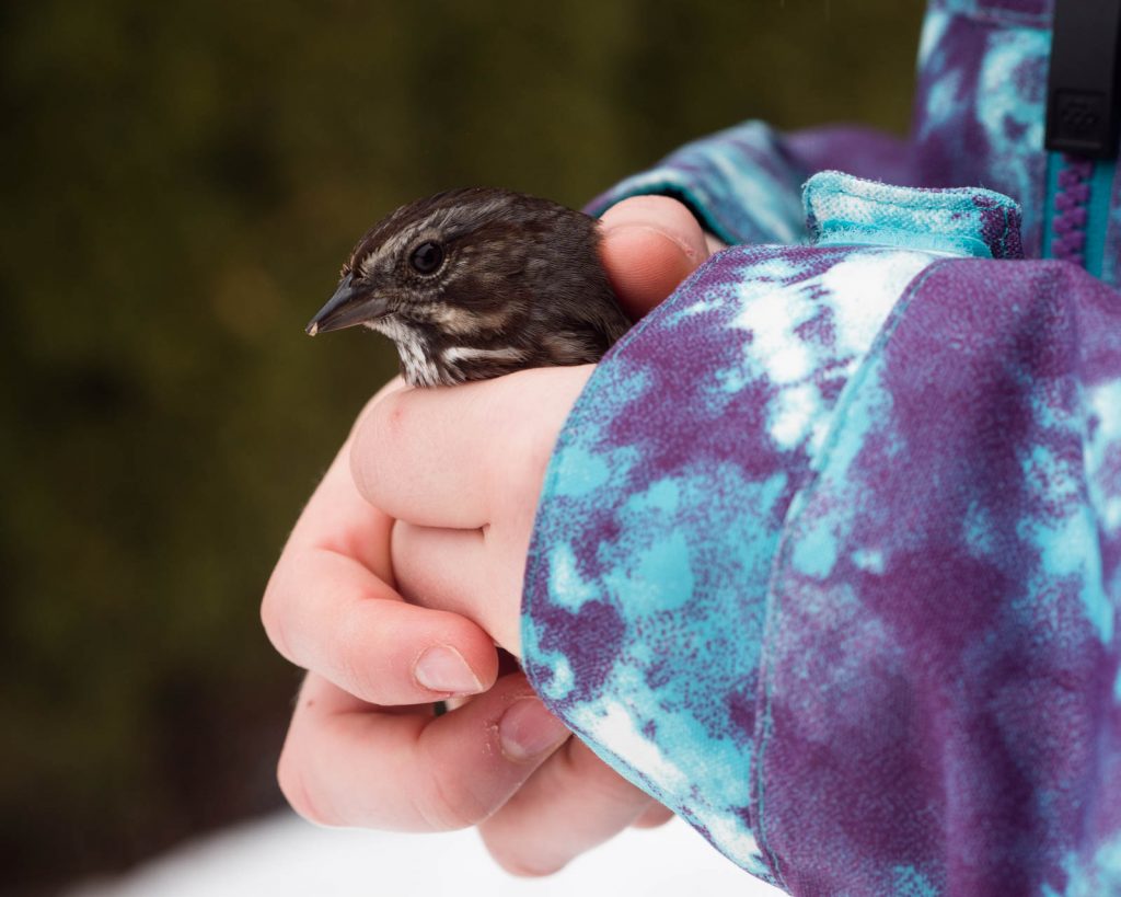 Stop Telling Kids "Don't Touch!" in Nature and What to Say Instead by Backwoods Mama