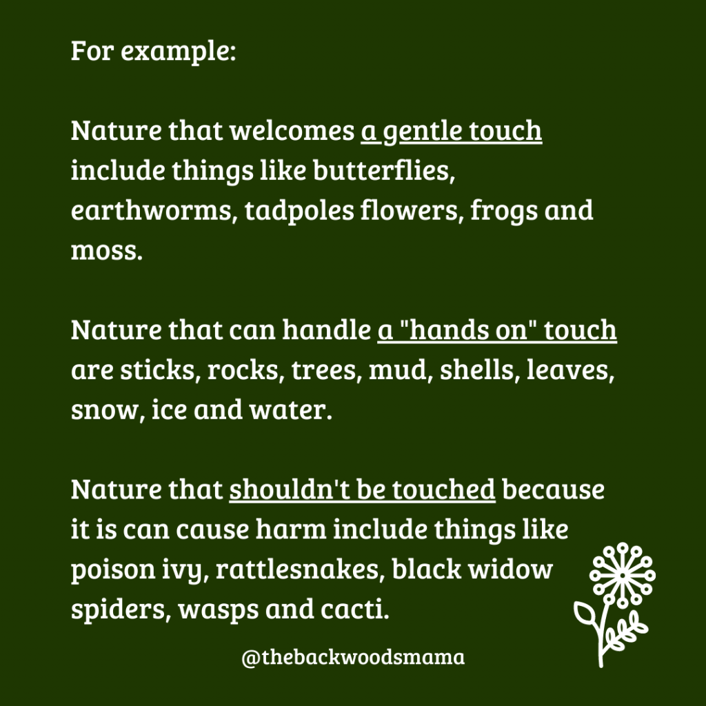 Stop Telling Kids "Don't Touch!" in Nature and What to Say Instead by Backwoods Mama