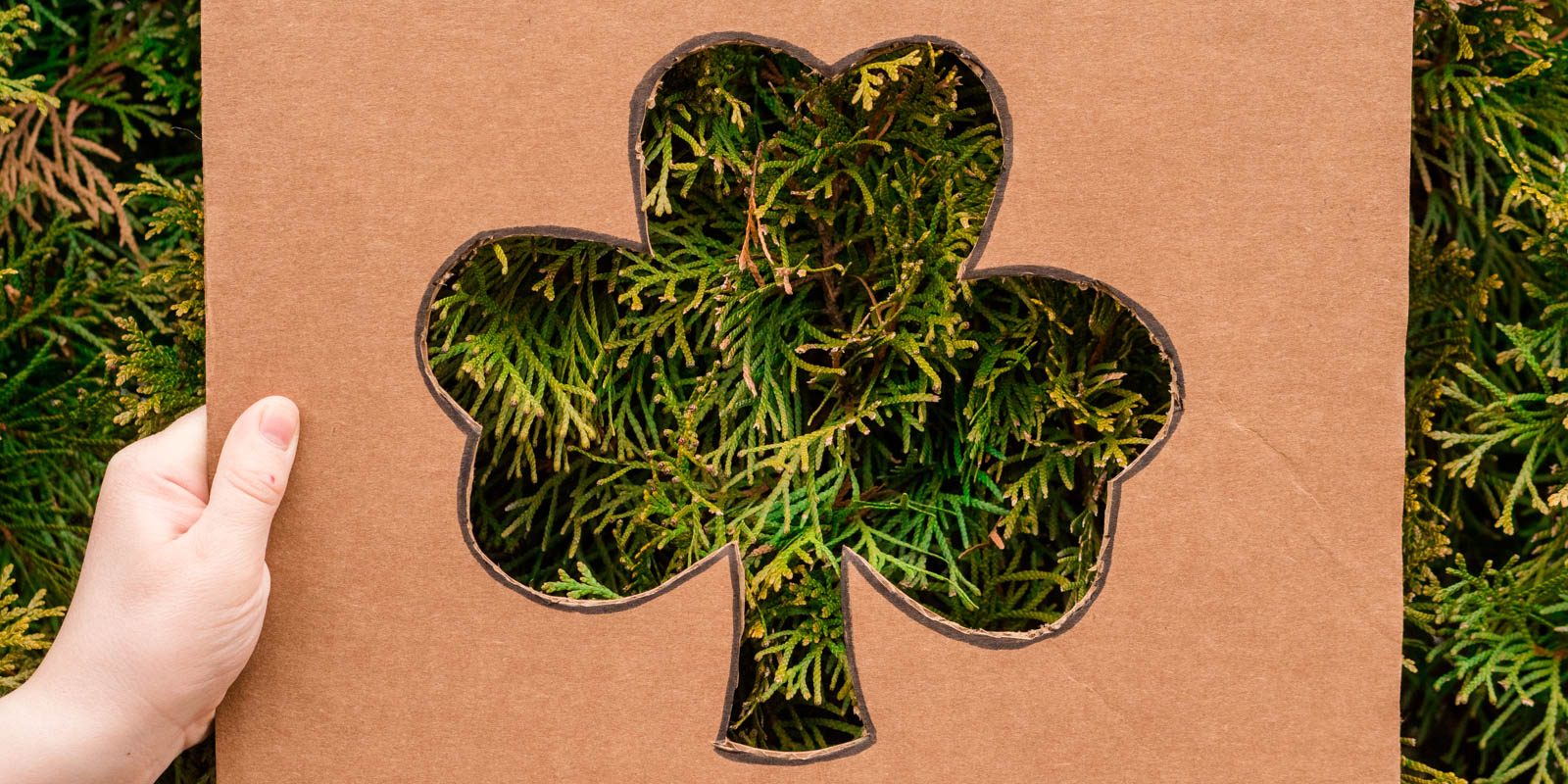 Fun Ideas for Celebrating St. Patrick's Day Outdoors with Kids by Backwoods Mama