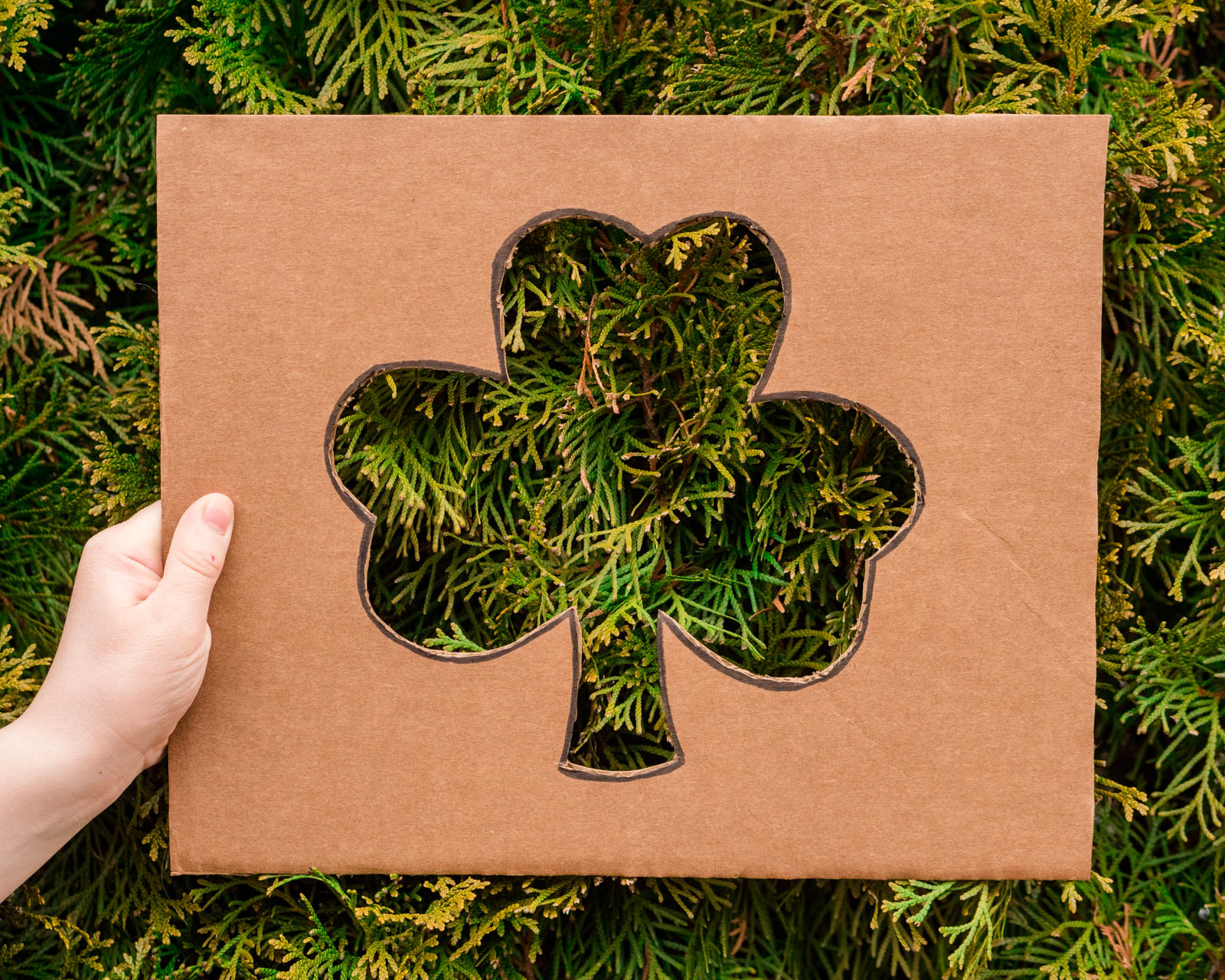 Fun Ideas for Celebrating St. Patrick’s Day Outdoors with Kids
