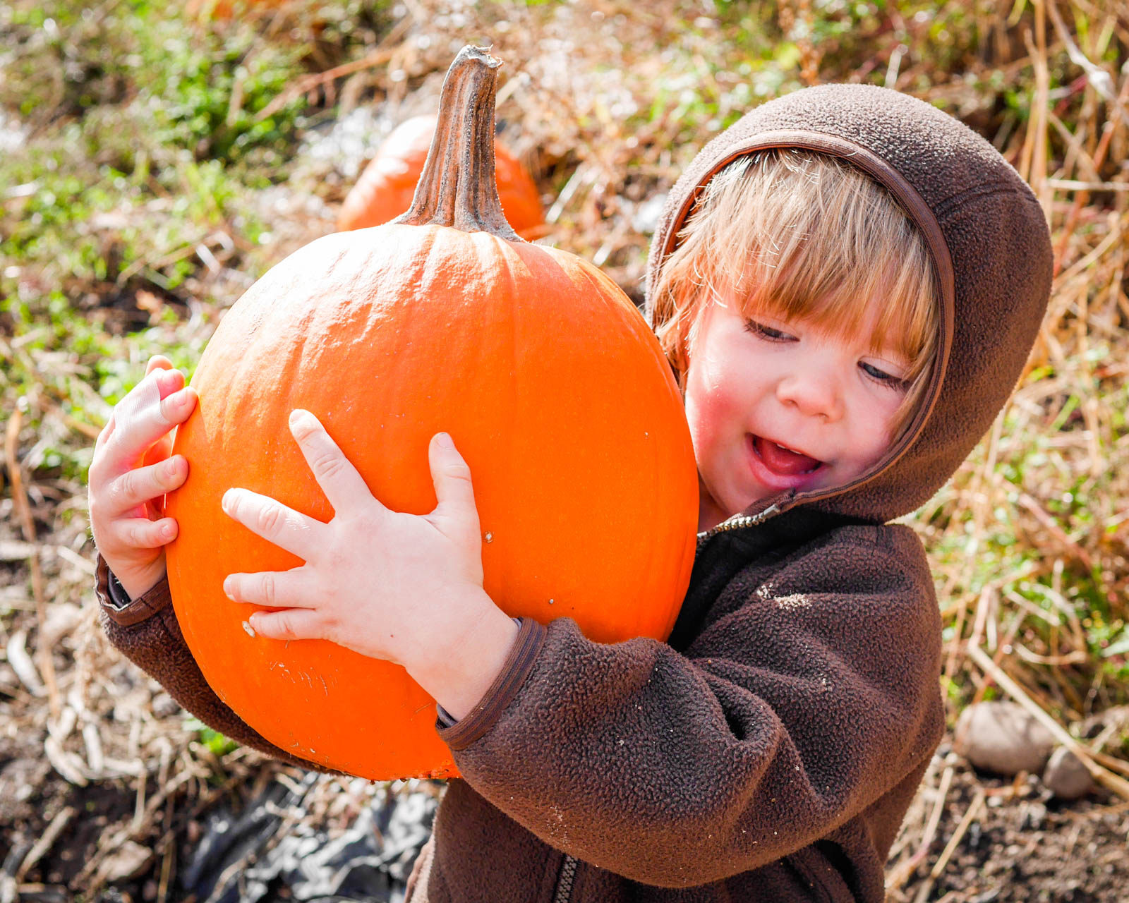 Fun Fall Outdoor Activities for Toddlers