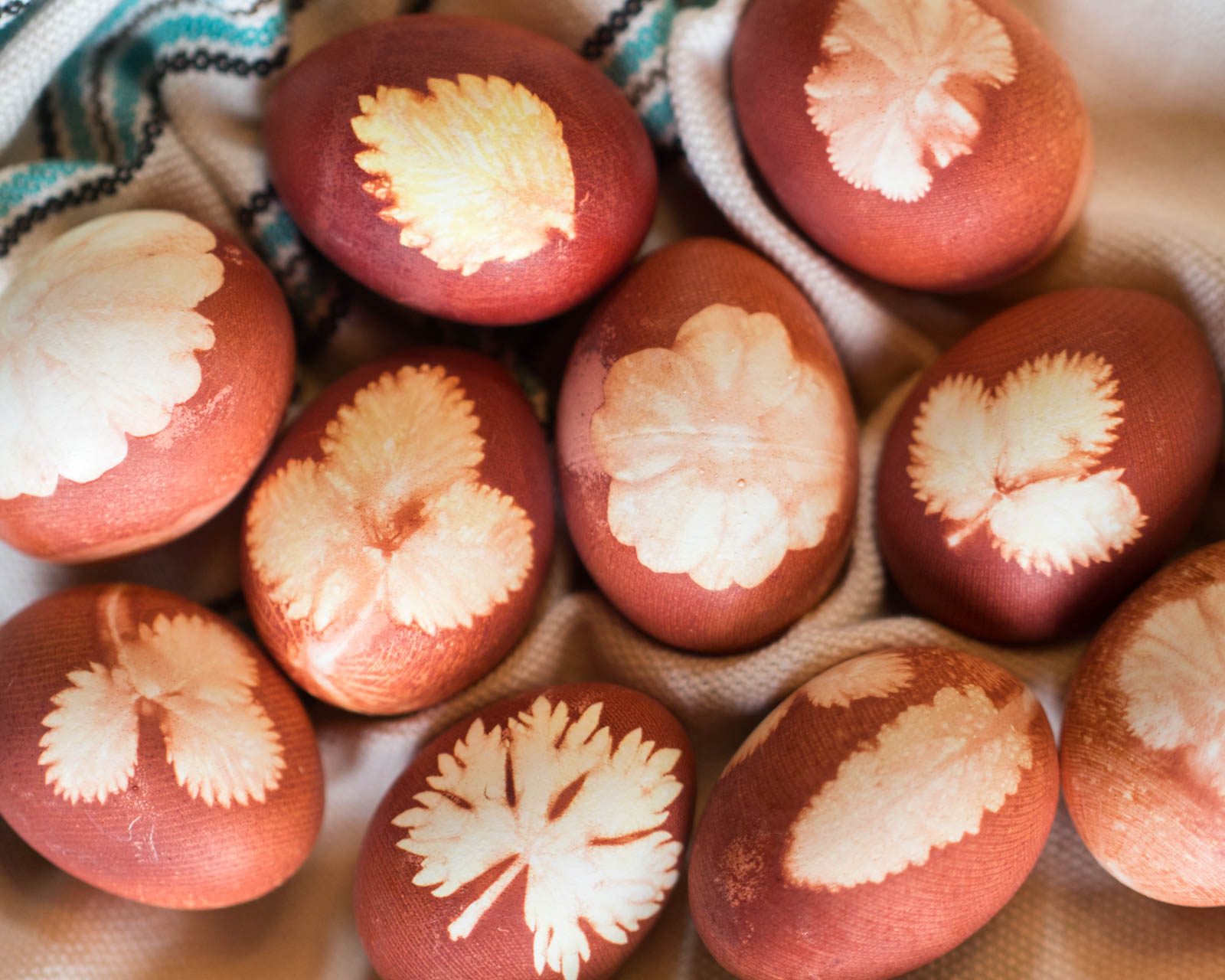 How to Make Onion-Skin Dyed Nature Printed Easter Eggs