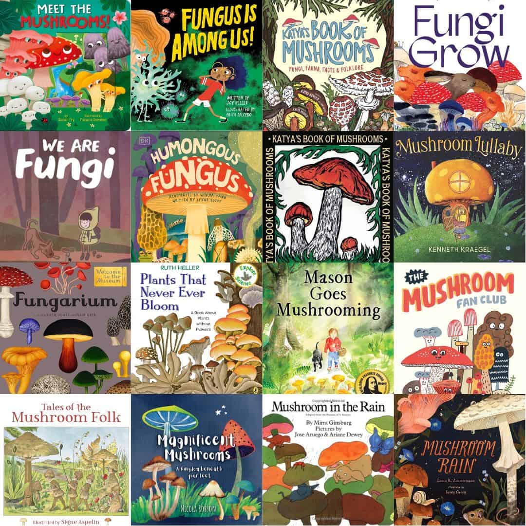 Marvellous Mushroom Picture Books for Kids