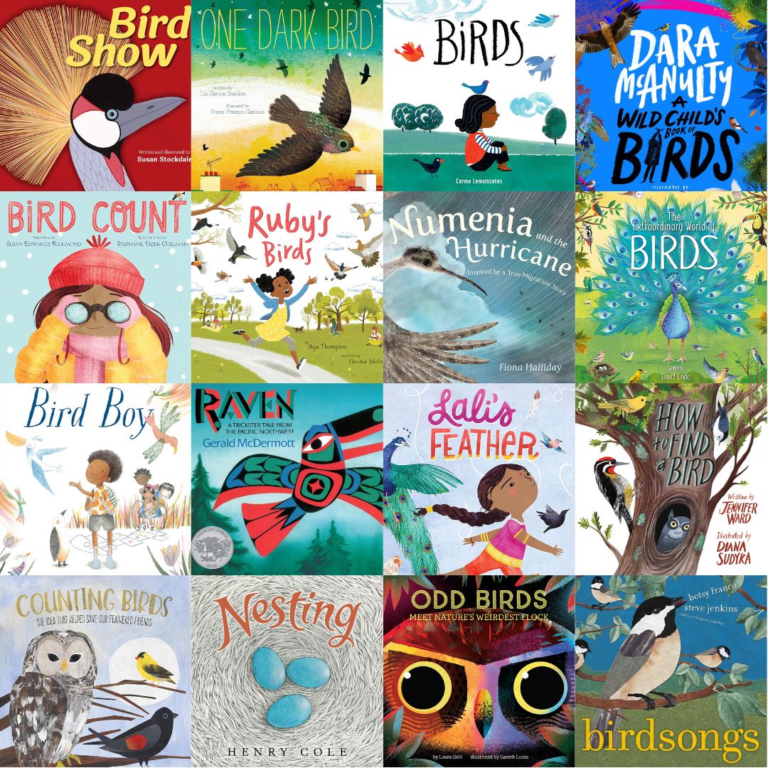 A Big List of Beautiful Bird Picture Books for Children