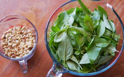 Freezing Basil Pesto – A Recipe