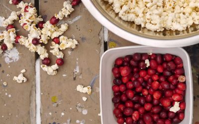 Winter Solstice (Including a Recipe for Mulled Wine)