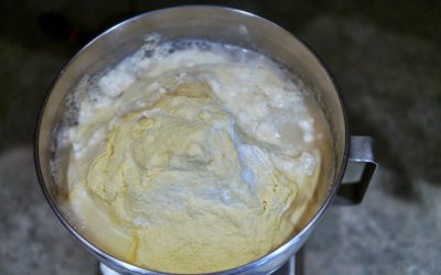 Sourdough Pizza Crust Recipe