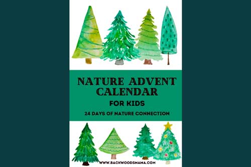 Nature Advent Calendar - Purchase from Backwoods Mama