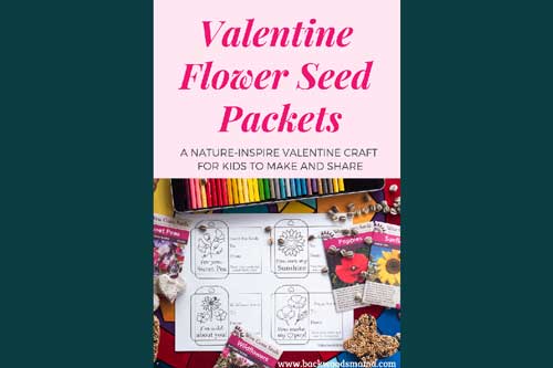 Valentine Seed Packets - Purchase from Backwoods Mama